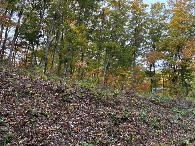 イトーピア小諸