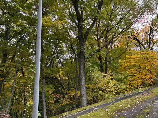 イトーピア小諸