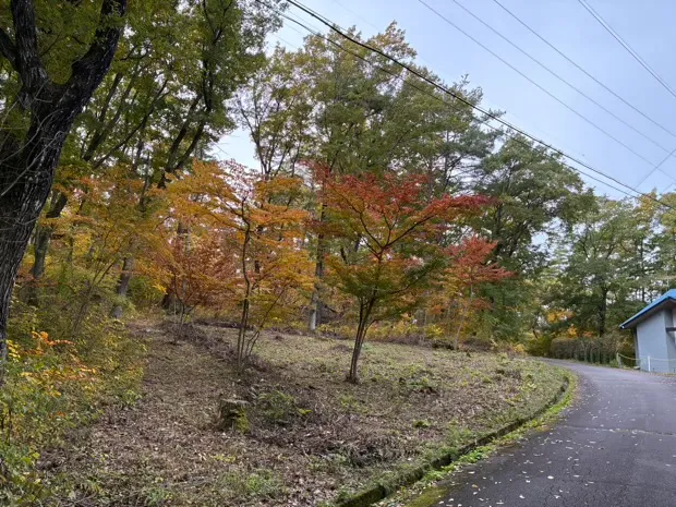 イトーピア小諸