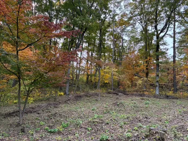 イトーピア小諸