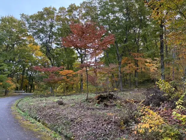 イトーピア小諸