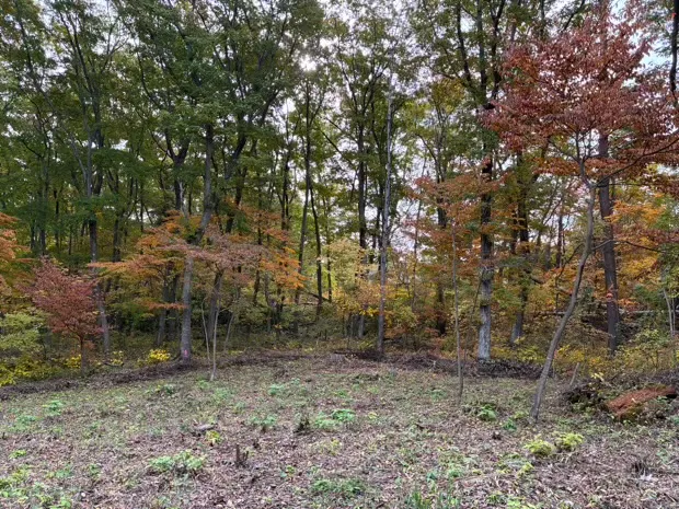 イトーピア小諸