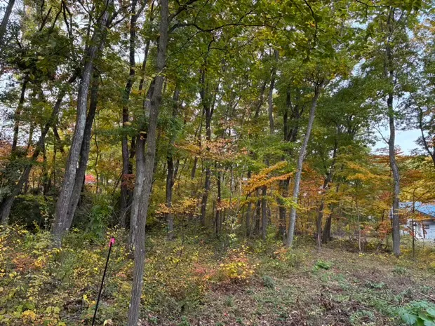 イトーピア小諸