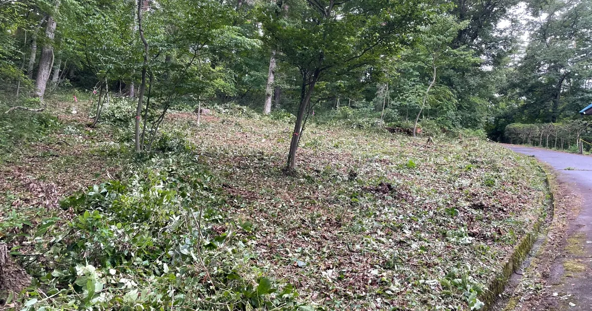 イトーピア小諸物件