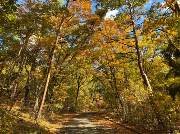 イトーピア小諸