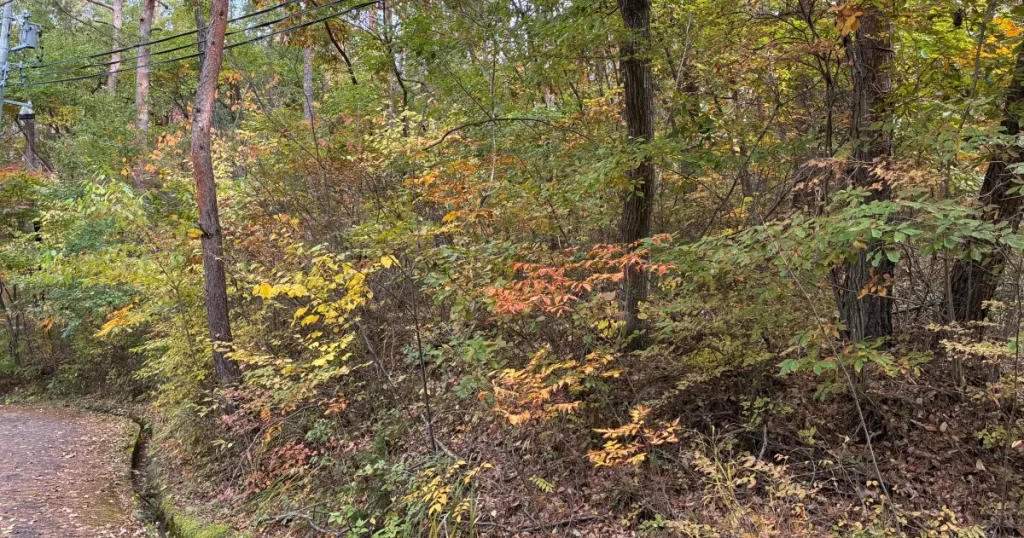 イトーピア小諸