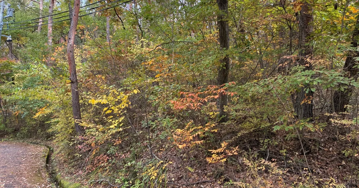 イトーピア小諸