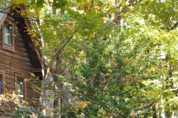 イトーピア小諸