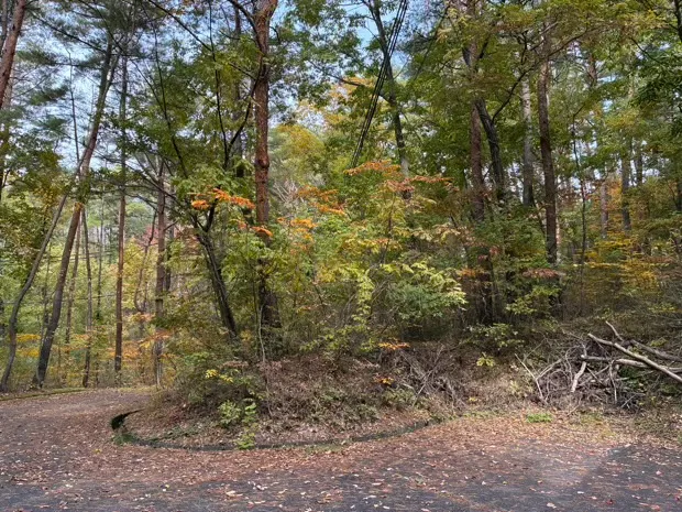 イトーピア小諸