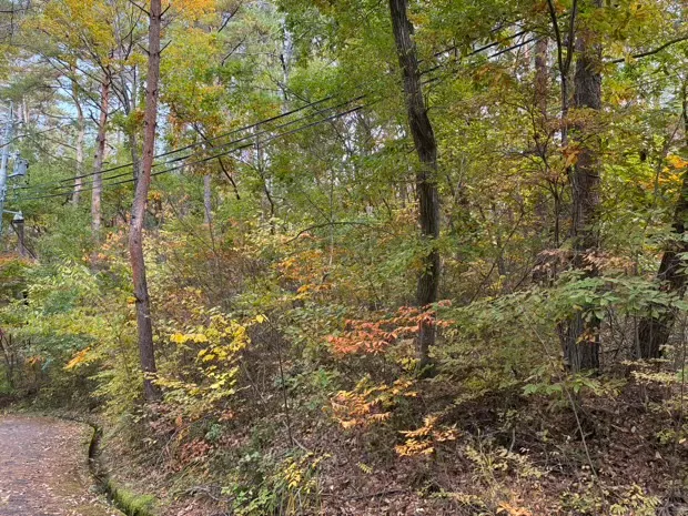 イトーピア小諸