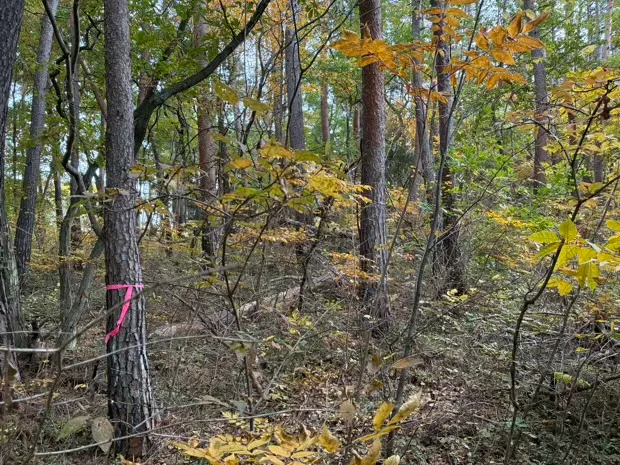 イトーピア小諸