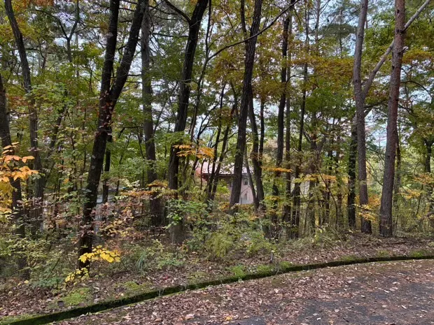 イトーピア小諸