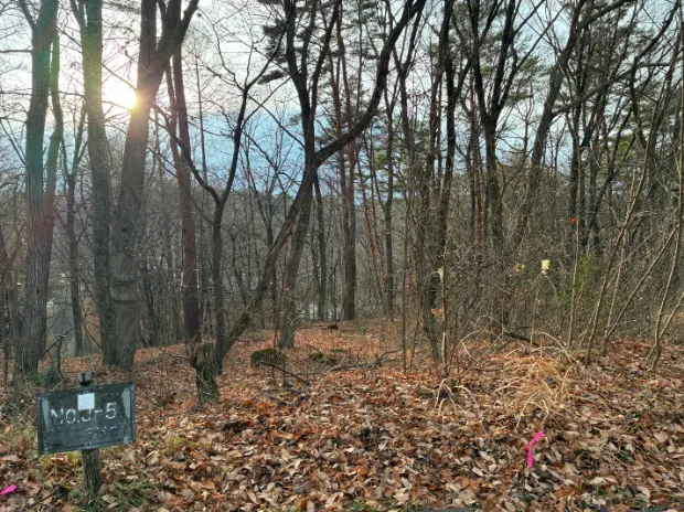 イトーピア小諸物件