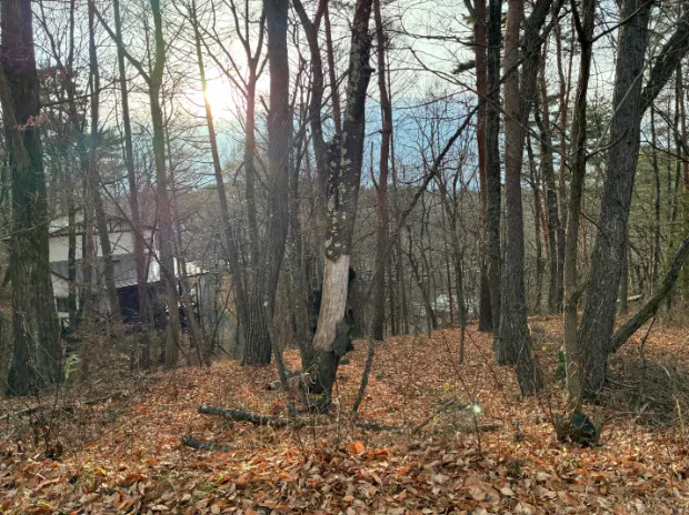 イトーピア小諸物件