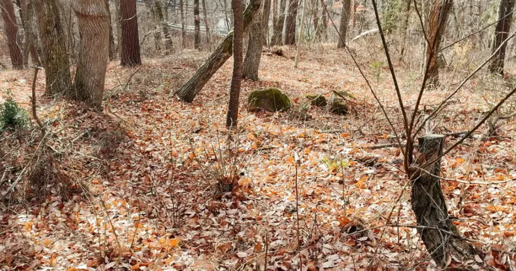 イトーピア小諸物件