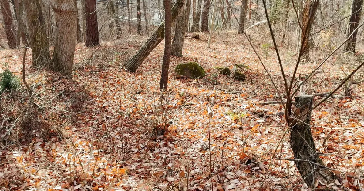 イトーピア小諸物件