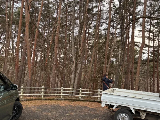 森のある暮らしプロデュース