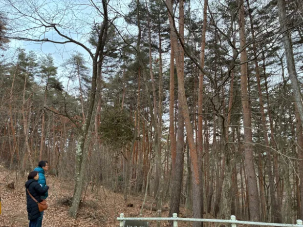 森のある暮らしプロデュース