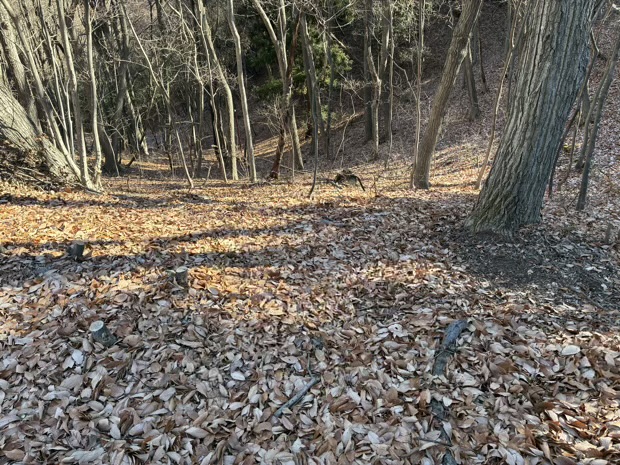 イトーピア小諸別荘地
