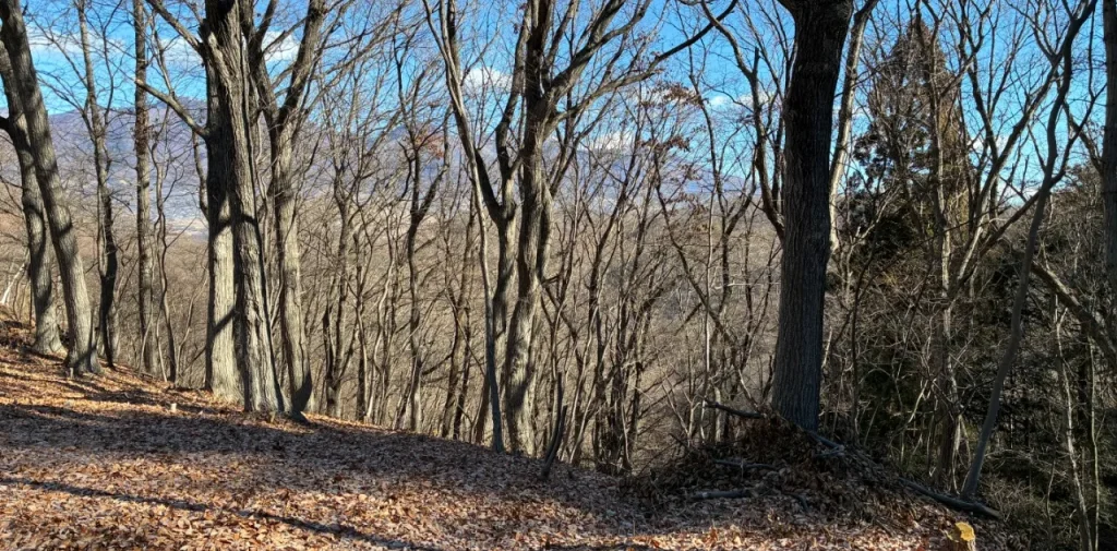 イトーピア小諸