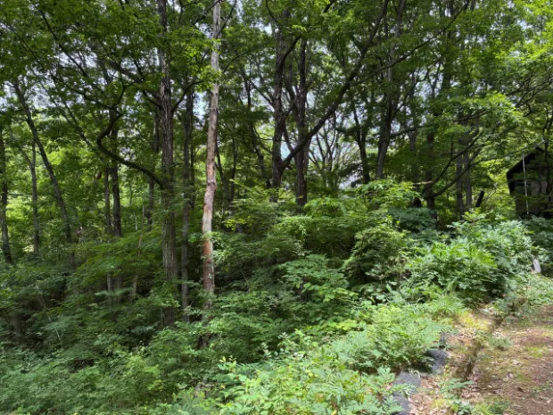 別荘放棄地